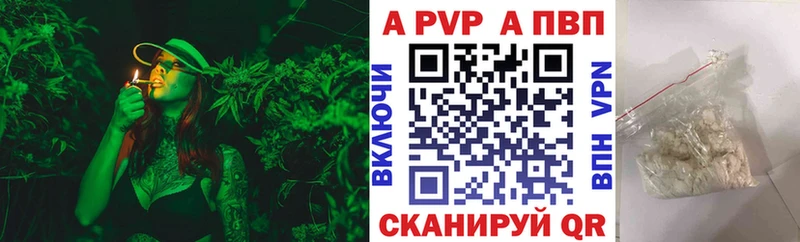 хочу   Александров  А ПВП СК КРИС 