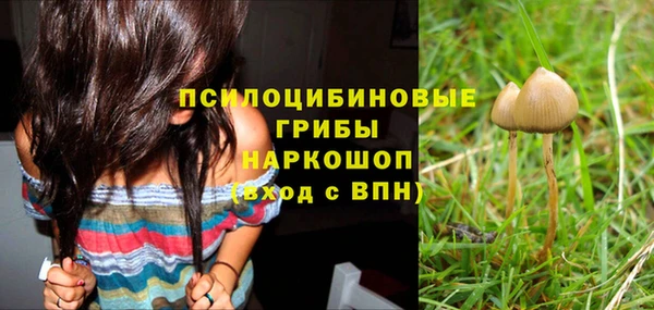 наркотики Зерноград