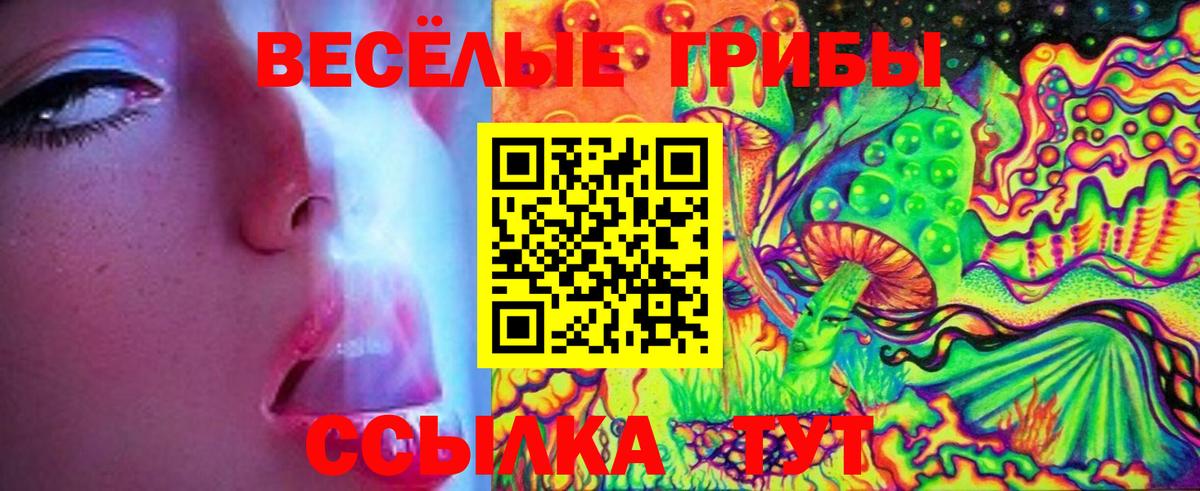 Псилоцибиновые грибы GOLDEN TEACHER Александров