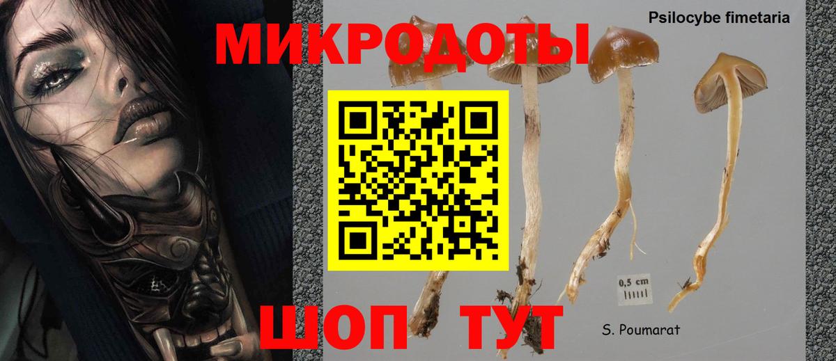 Галлюциногенные грибы MAGIC MUSHROOMS  Галлюциногенные грибы GOLDEN TEACHER  Александров  Вход с VPN 